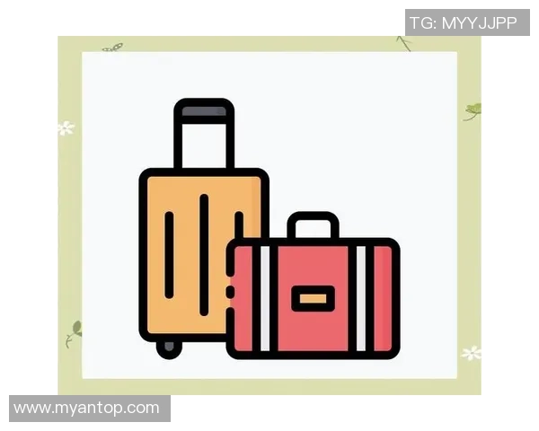 刘敏独家分享排球心得与技巧助你提升球技的全面指南