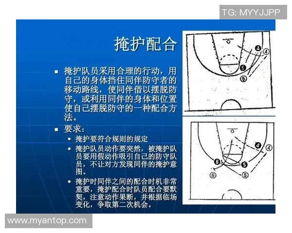 成都羽毛球队反击之路：胜负背后的战术与心态分析