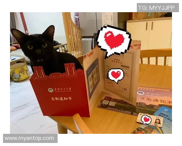 杭州篮球队心理素质提升之路探讨与热议分析MBA 杭州篮球队心理素质提升之路探讨与热议分析MBA