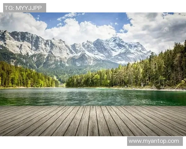 杨磊独家分享攀岩技巧与心得体会助你轻松征服高峰 杨磊独家分享攀岩技巧与心得体会助你轻松征服高峰