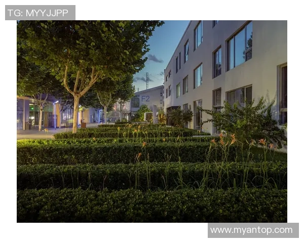 莱奥的成长之路从小镇到国际舞台的奋斗与荣耀