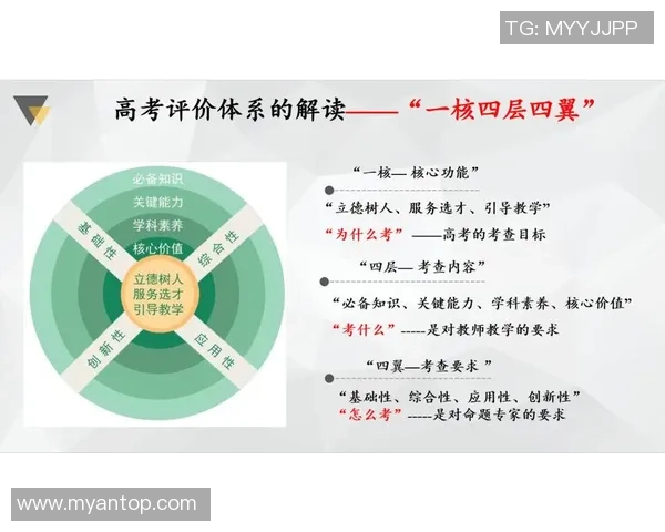 北京排球队在挑战赛中的技术表现分析与点评