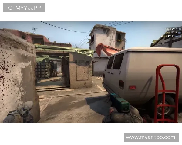 赵秀英的CSGO人生探索与成长之路深度对话
